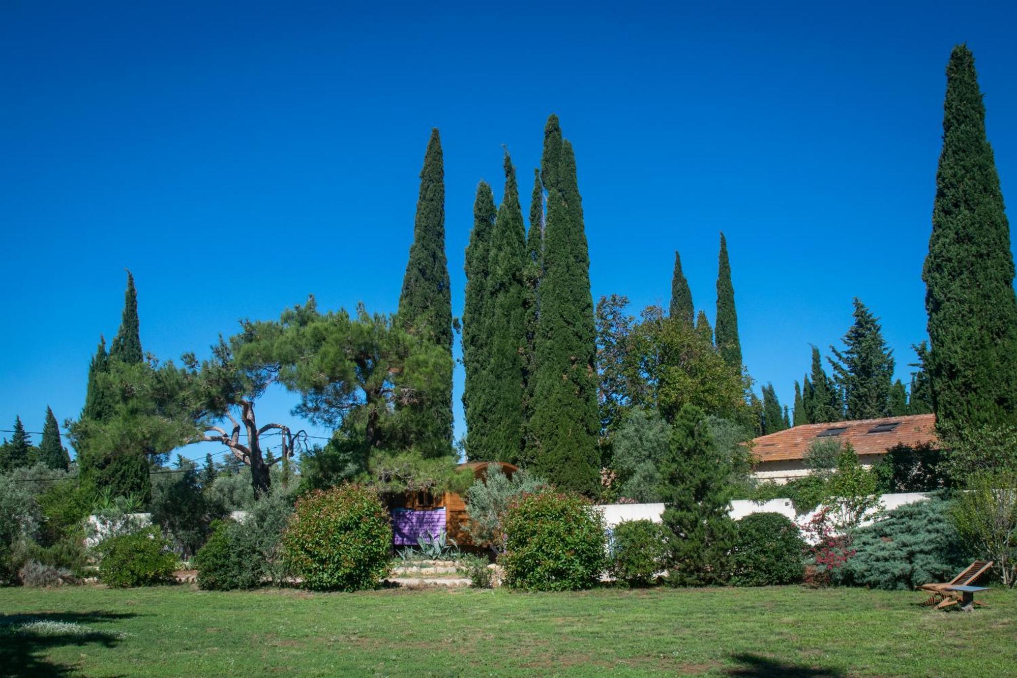 Hotel Vintage Provence Arles Zimmer foto